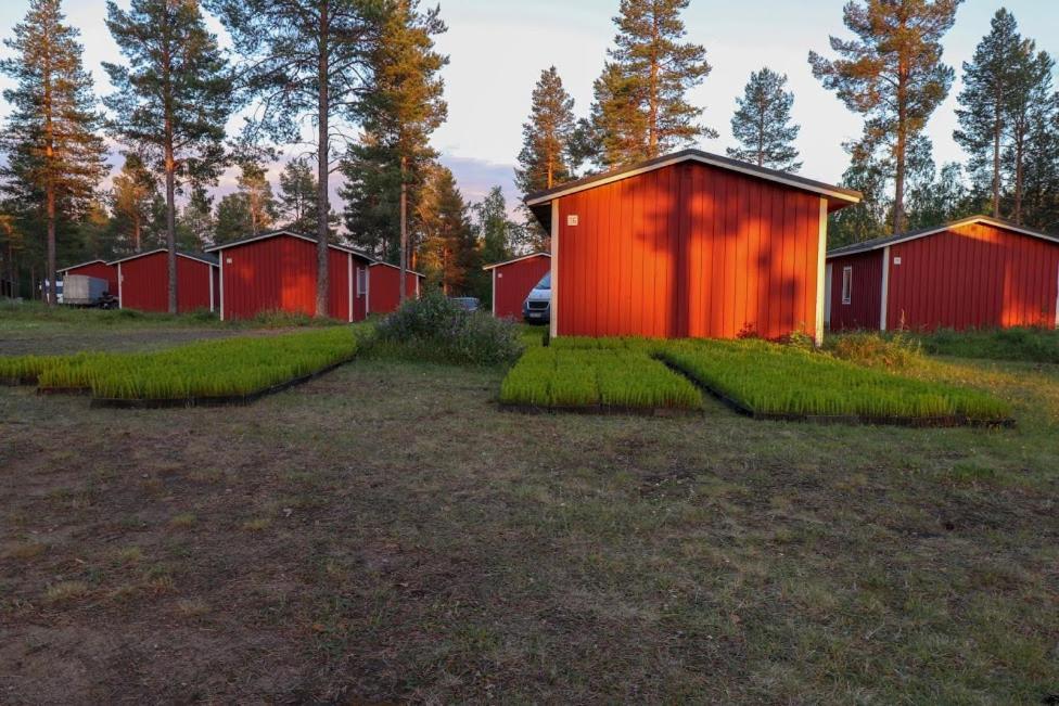 Pajala Cottages Route 99 Dış mekan fotoğraf